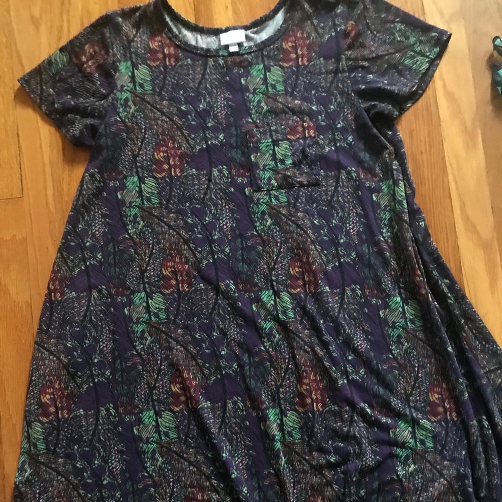 Lularoe Carly Dress Small